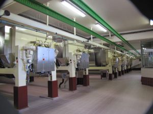 IMG_7529 (Copier)